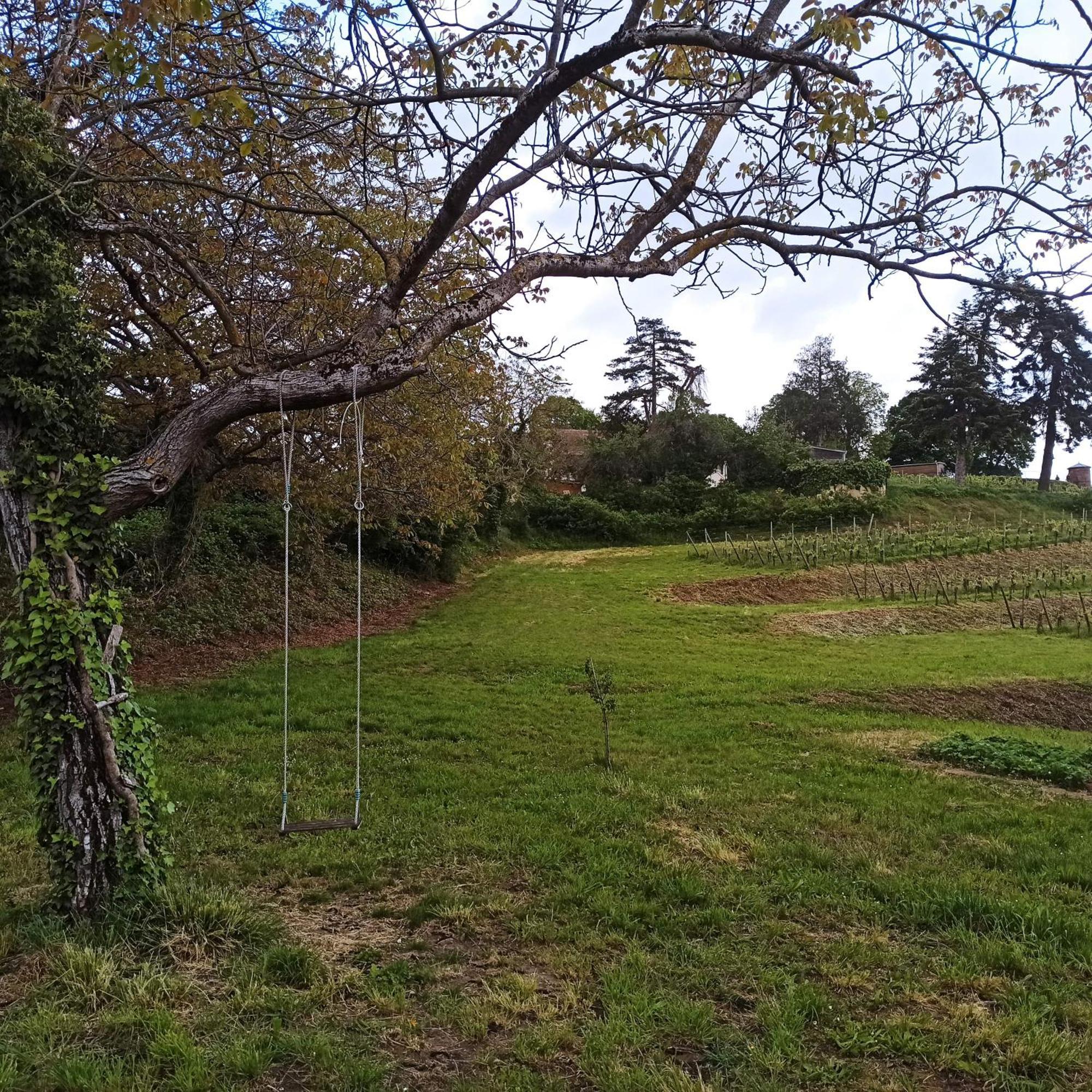 Joli Gite F2 Independant Avec Jardin Prive Rouffach Luaran gambar